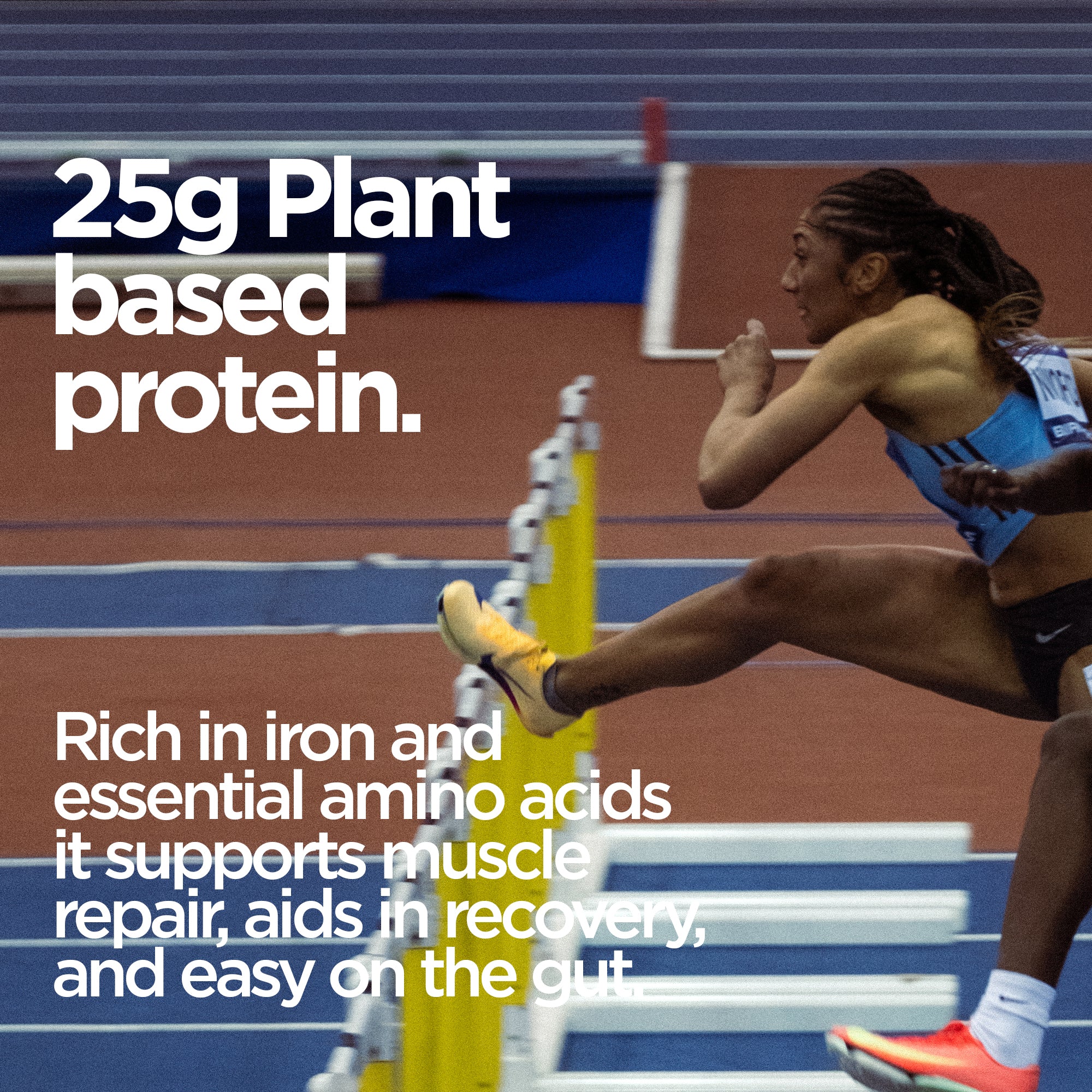 Elite Repair Protein Powders