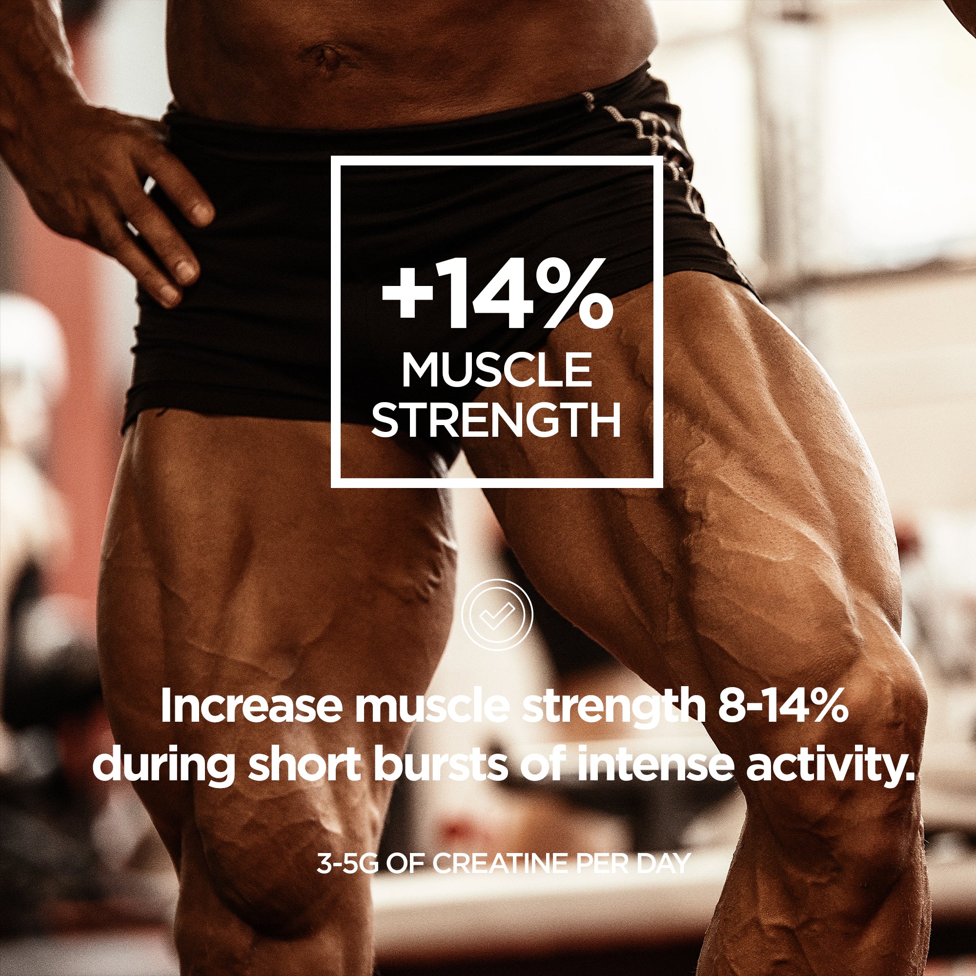 Vegan Friendly Creatine Monohydrate