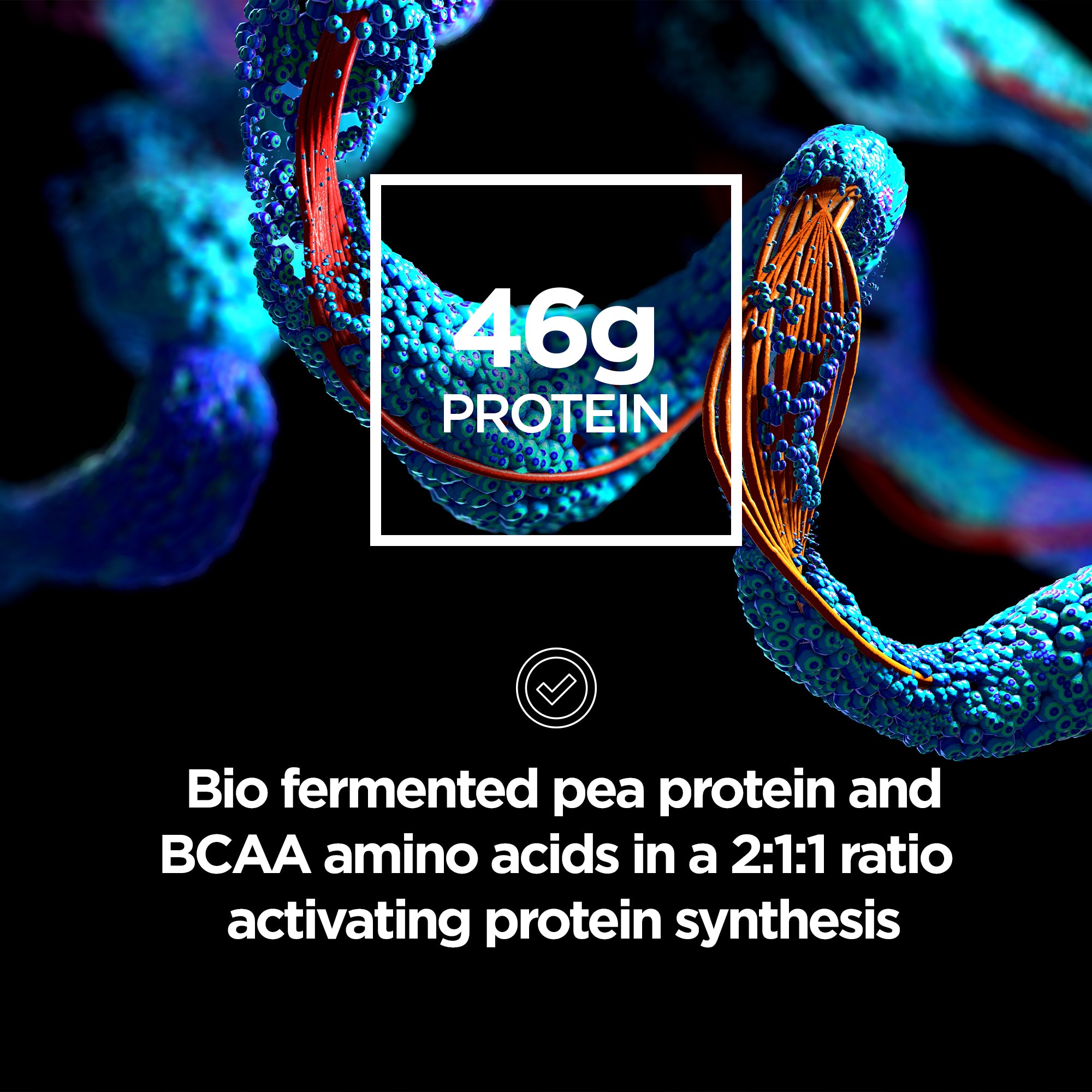 Mass Gainer Professional - Informed Sport