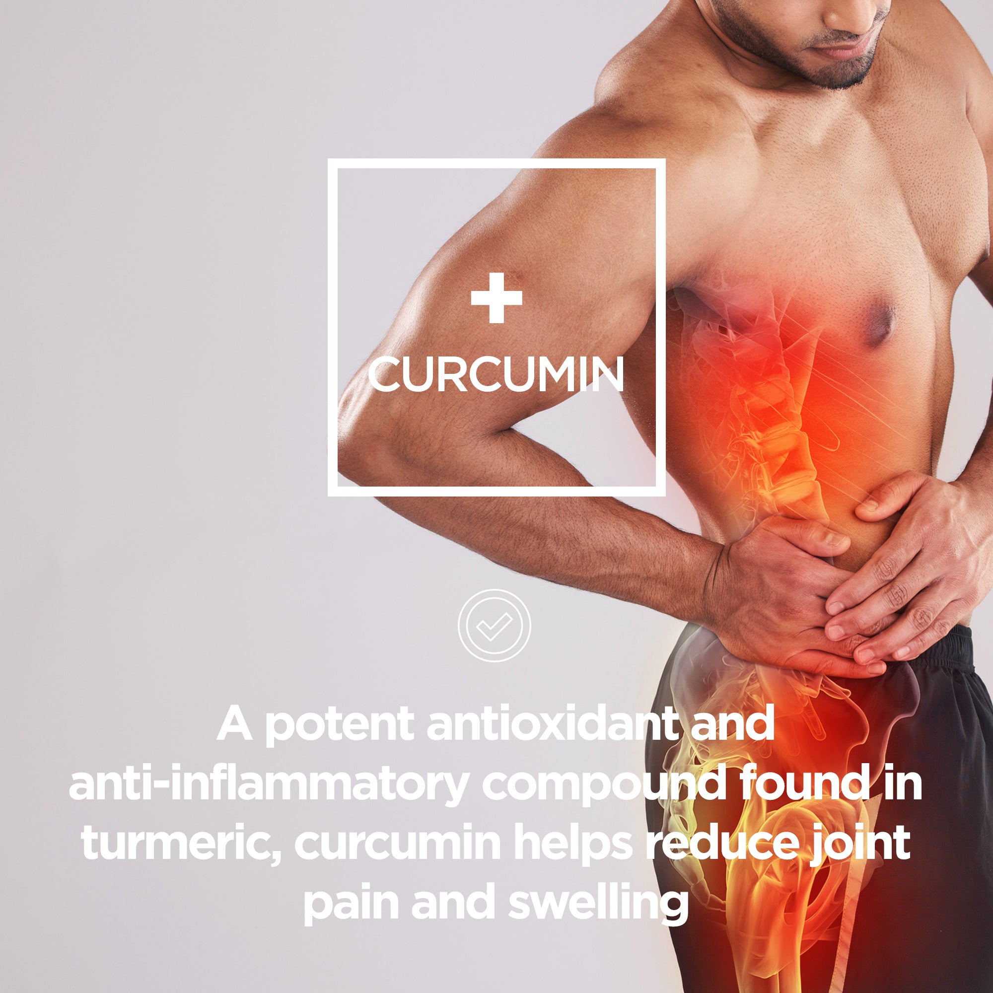 Curcumin + High Strength Joint Formula