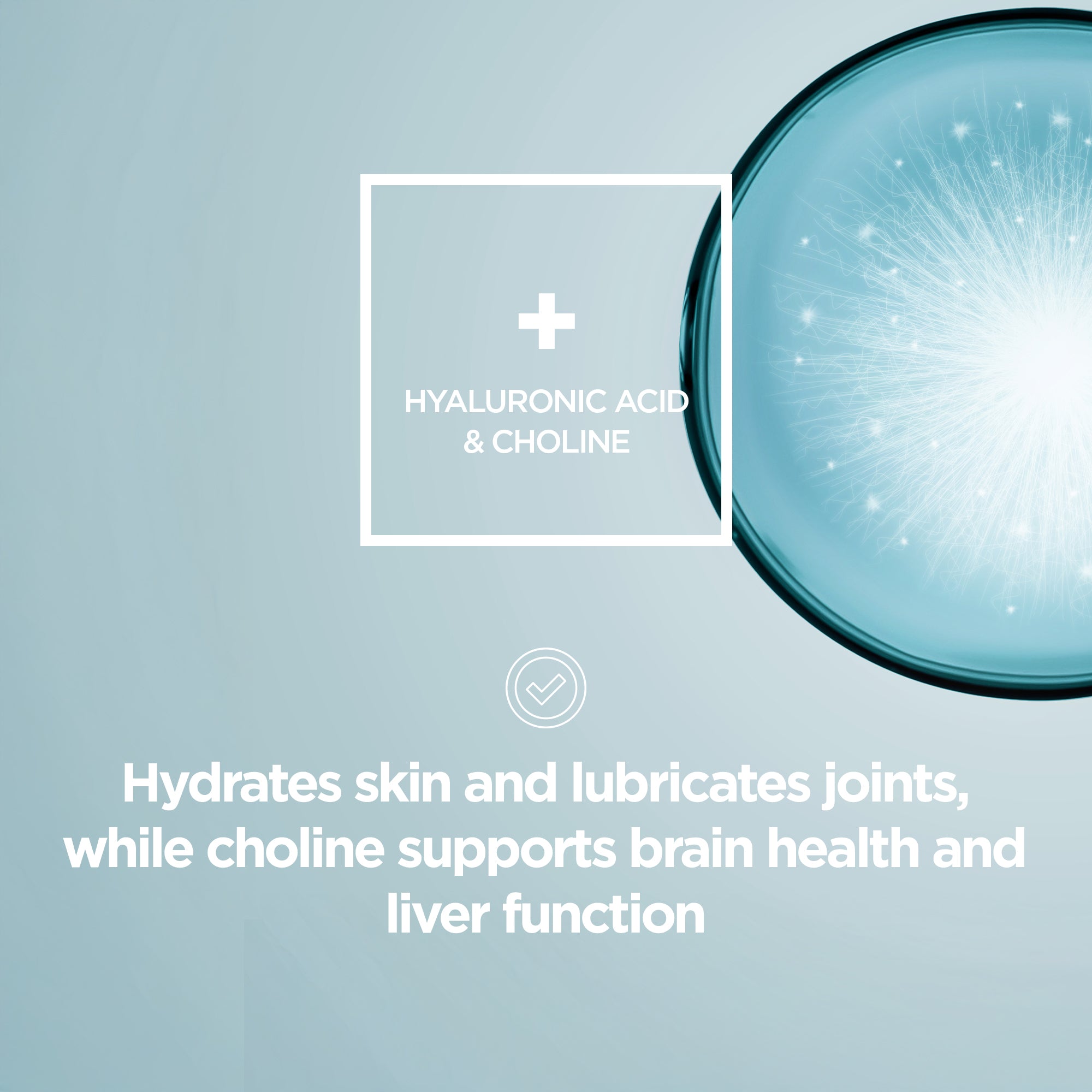 Collagen + Peptide Protein Powder