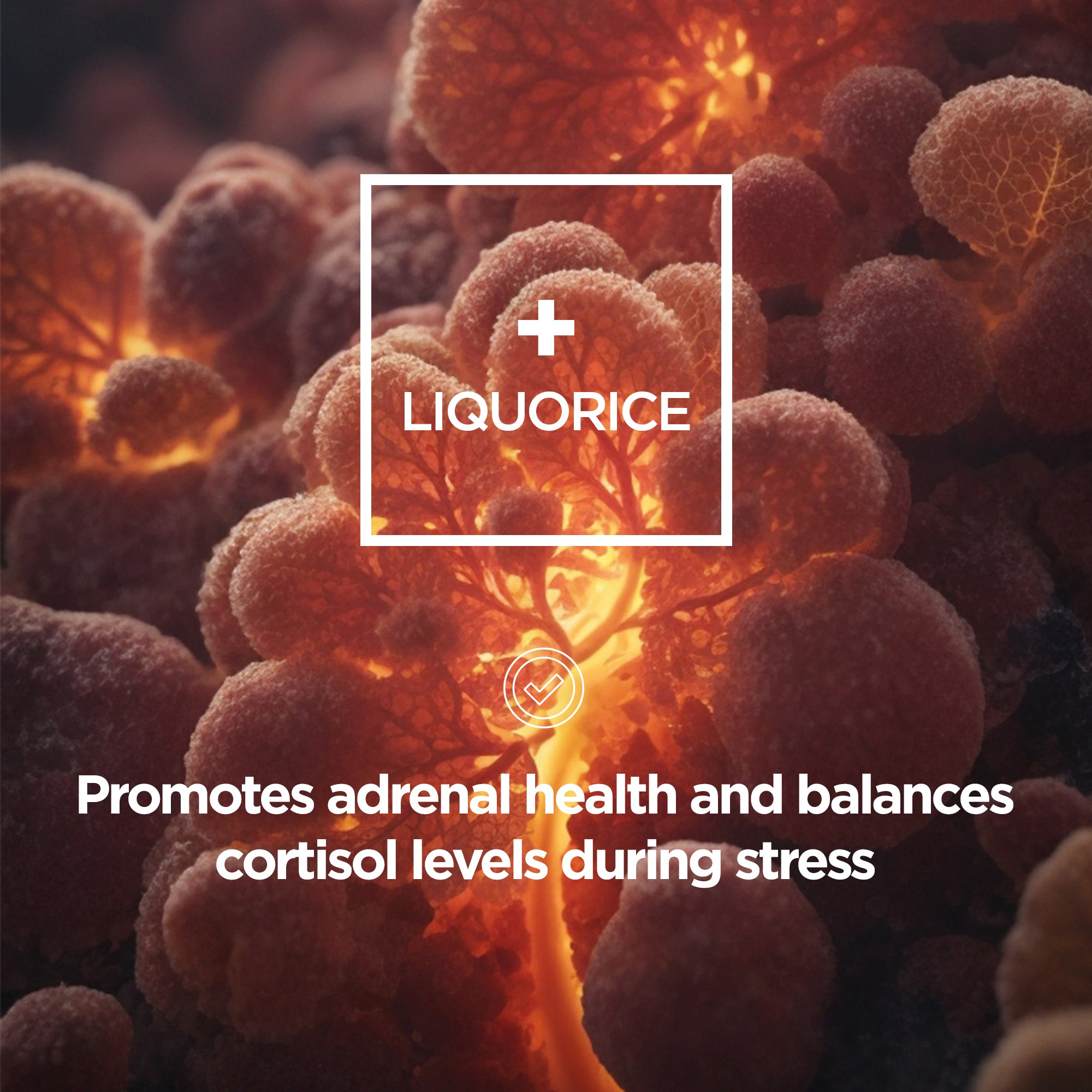 Adrenal Support Formula