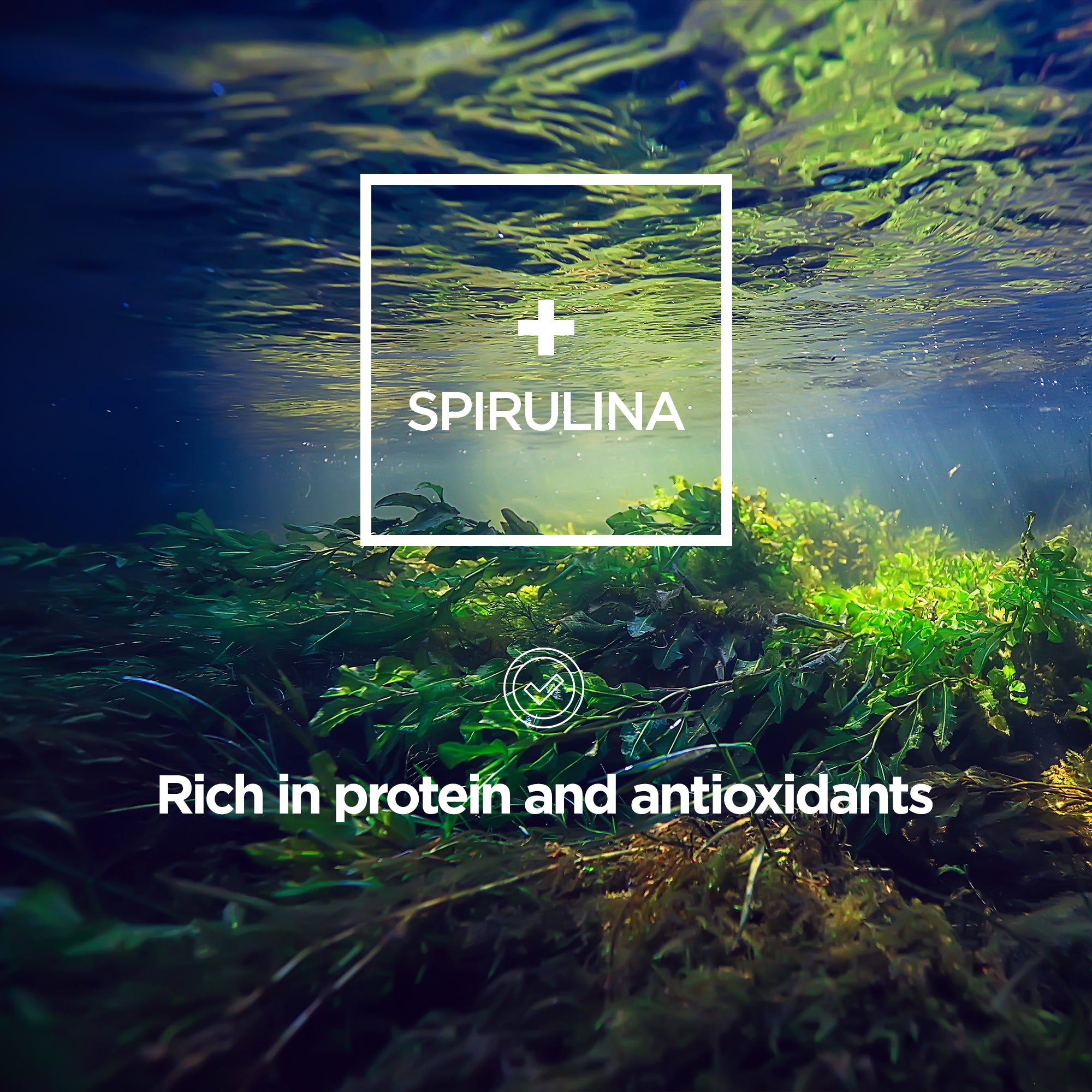 Greens Alkalising Multi Nutrient