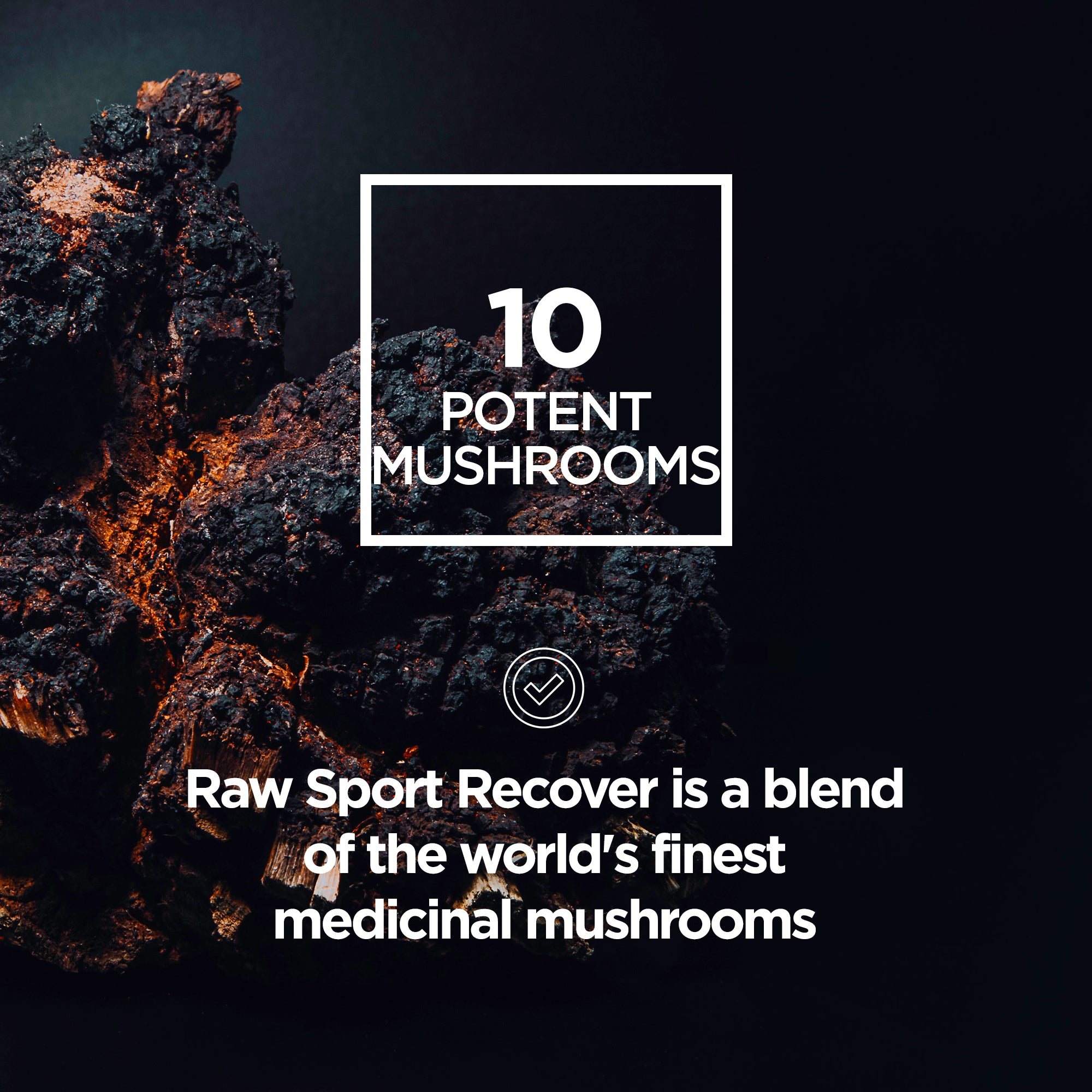 Immune + Recover Mushroom Blend Capsules