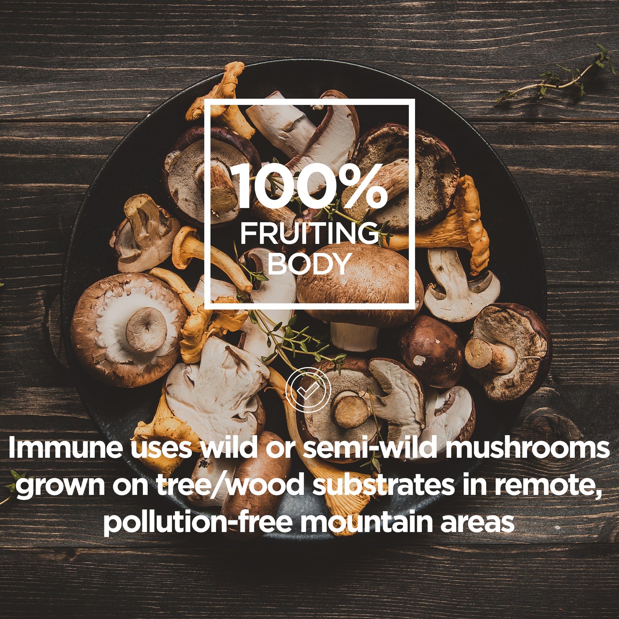 Immune + Recover Mushroom Blend Capsules