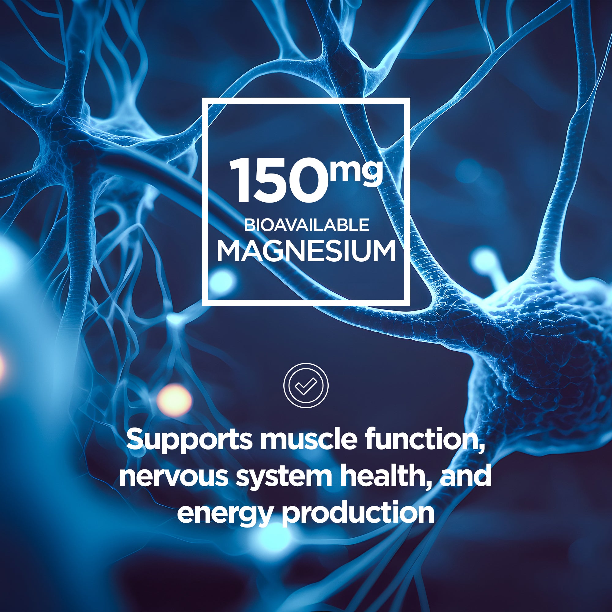 Collagen + Peptide Protein Powder