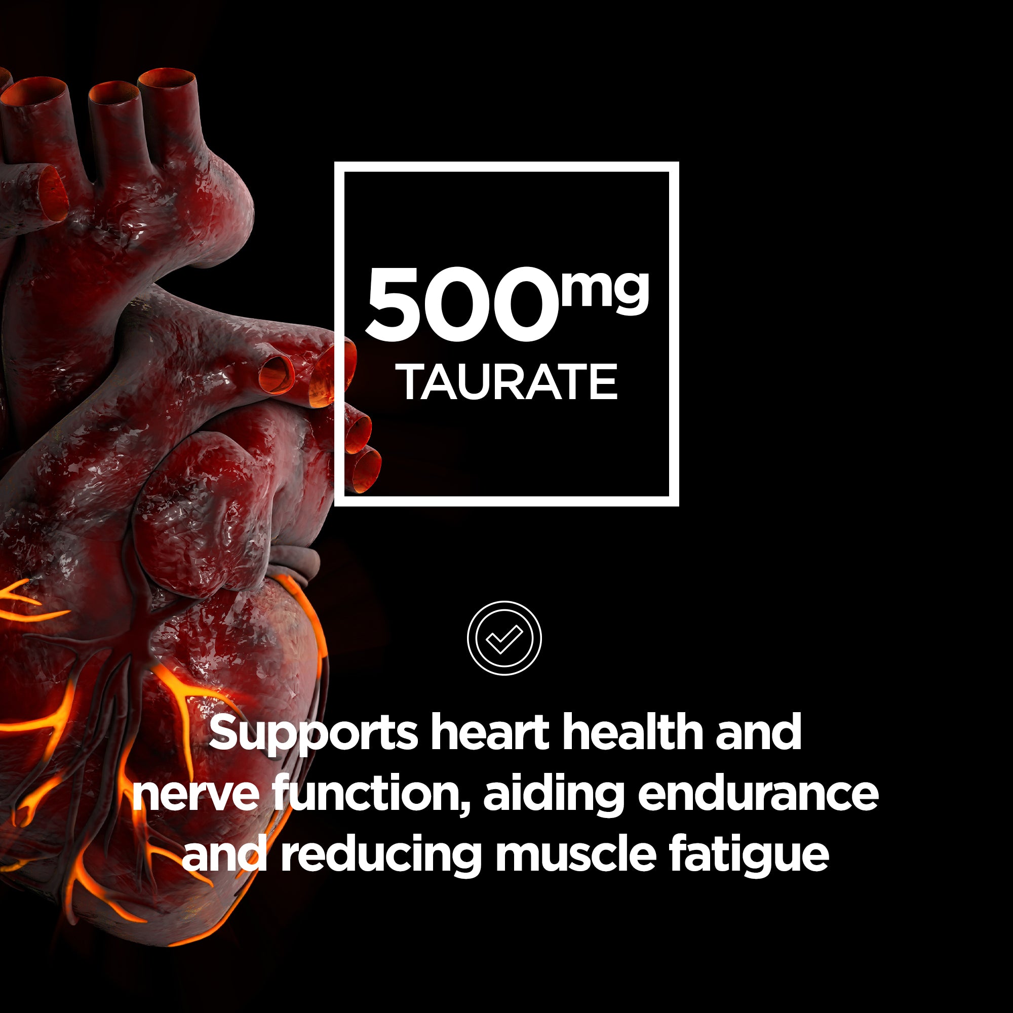 Tri-Magnesium Informed Sport