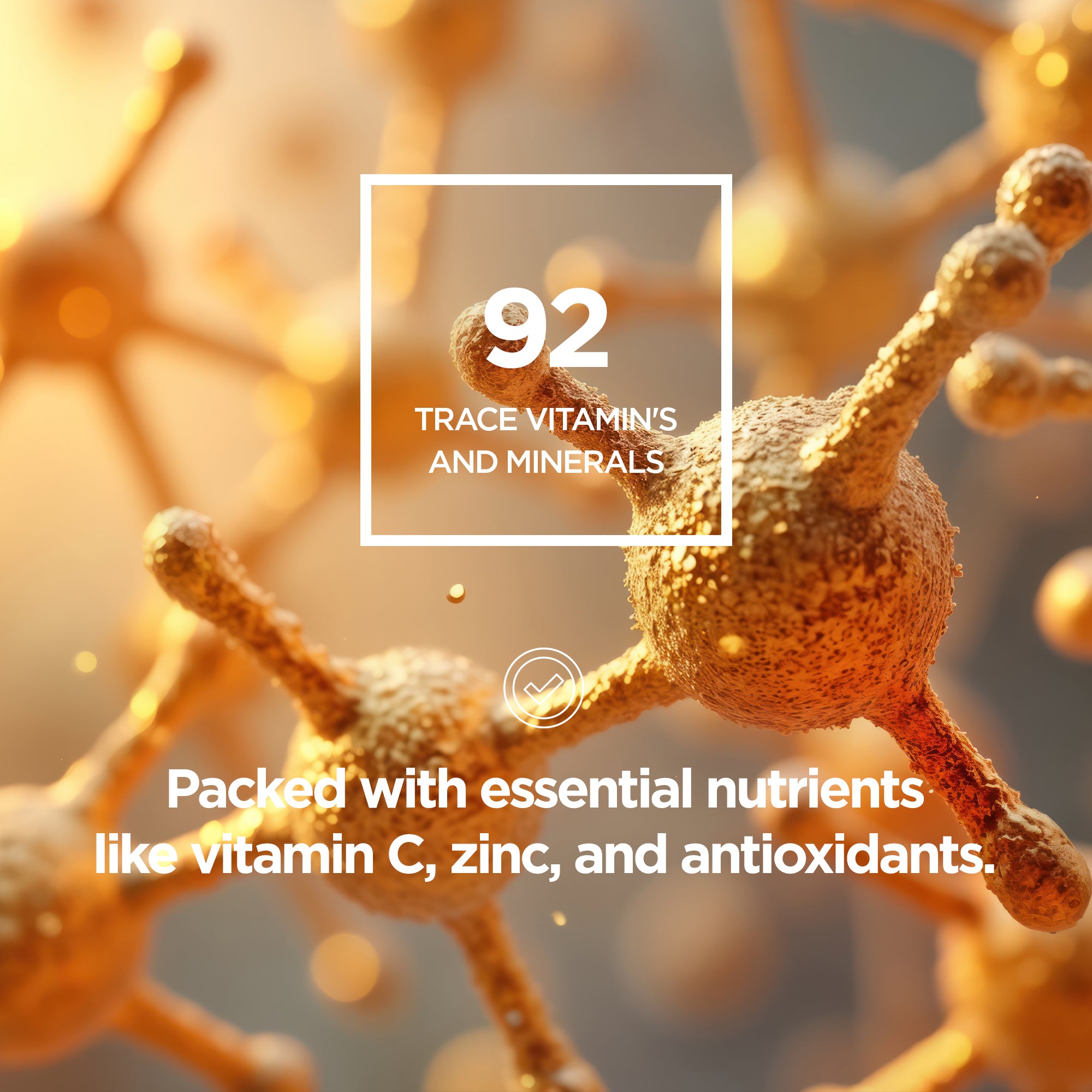 Pacifica+ Seaweed Multi Mineral Formula