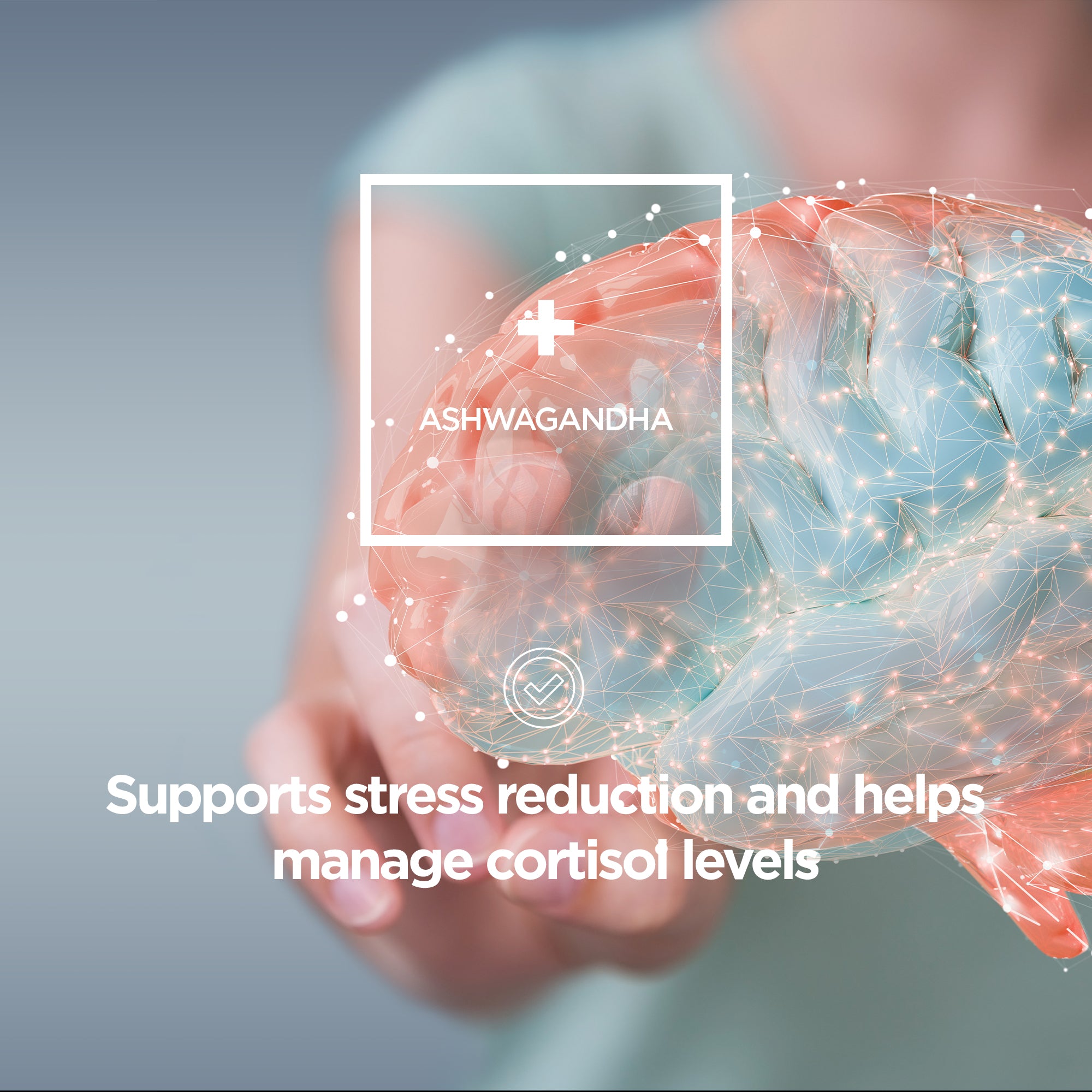 Adrenal Support Formula