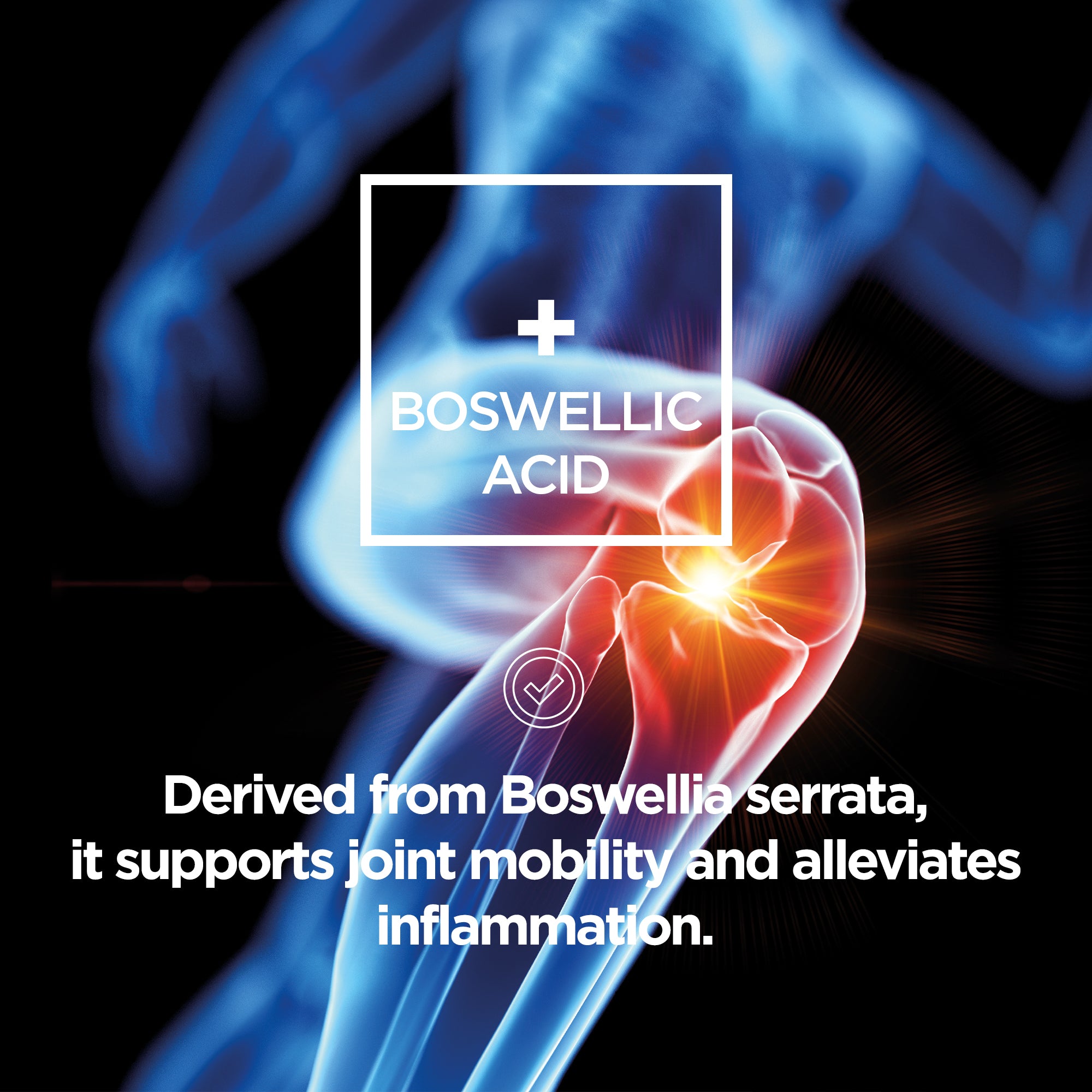 Curcumin + High Strength Joint Formula