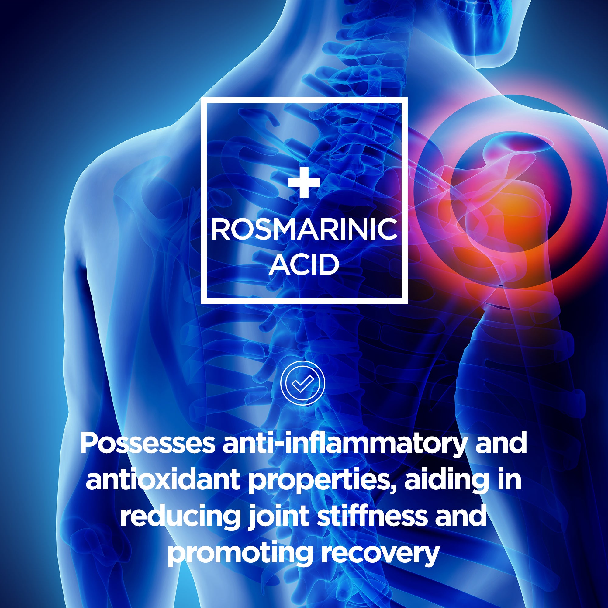 Curcumin + High Strength Joint Formula