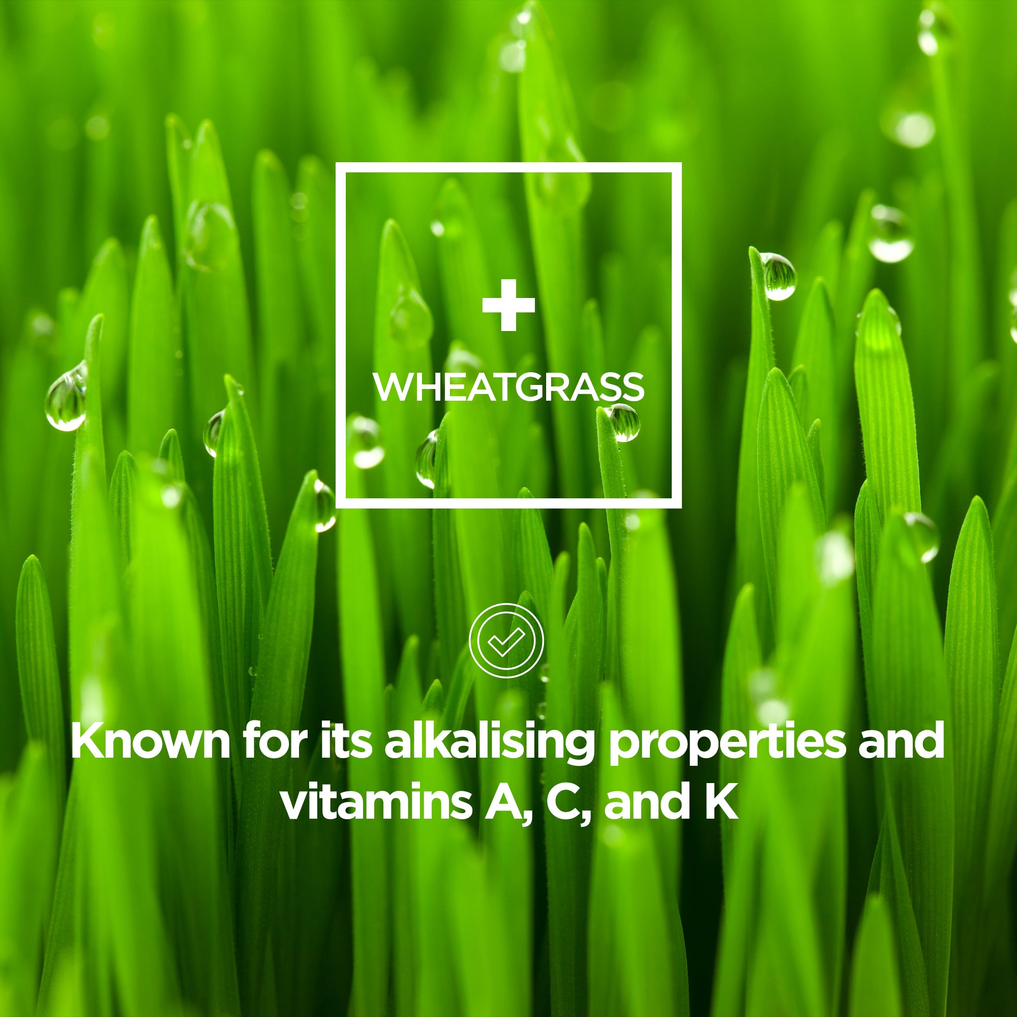 Greens Alkalising Multi Nutrient