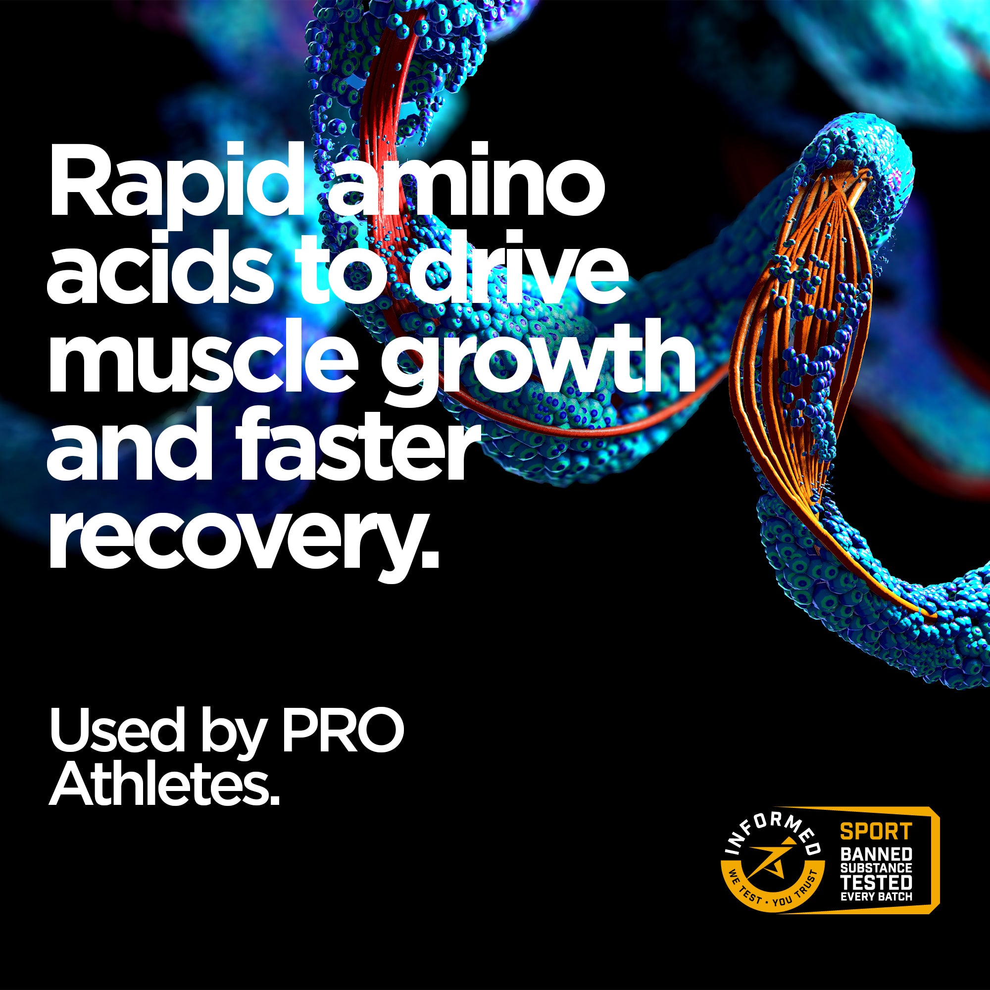 Elite Repair Protein Powders